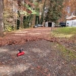 Landscaping tiny projects & yard work.