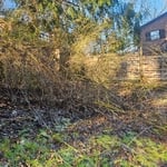 Landscaping Project