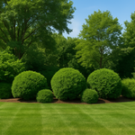 Lawn care