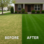 Lawn care