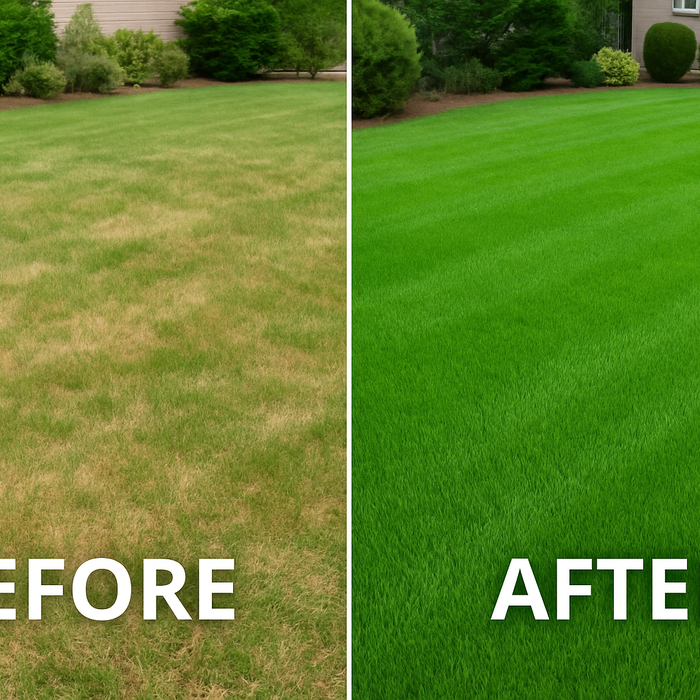 Lawn care