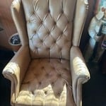 Upholstery Cleaning Project