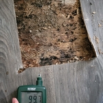 Kitchen Water Damage Restoration/ Mold Memediation