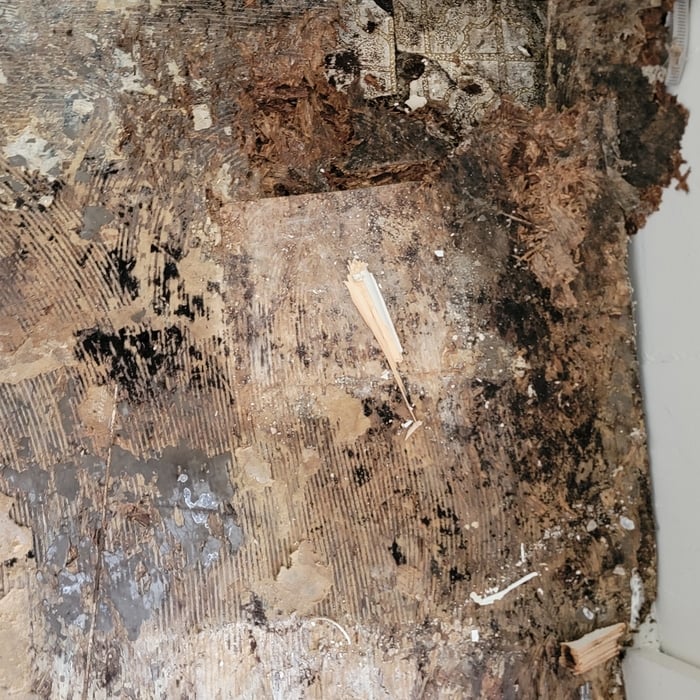 Kitchen Water Damage Restoration/ Mold Memediation