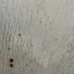 Mold in the shower