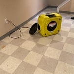 Mold remediation