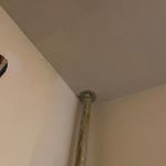 Mold removal