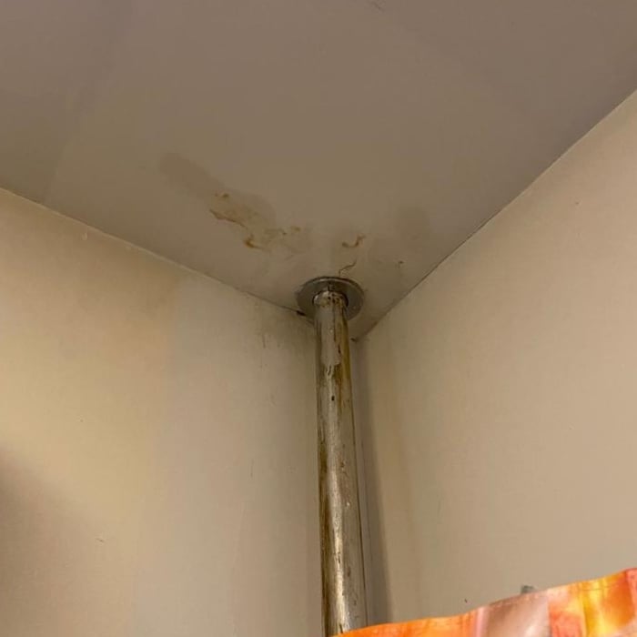 Mold removal