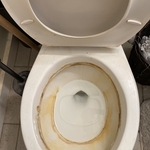 Bathroom Deep Clean