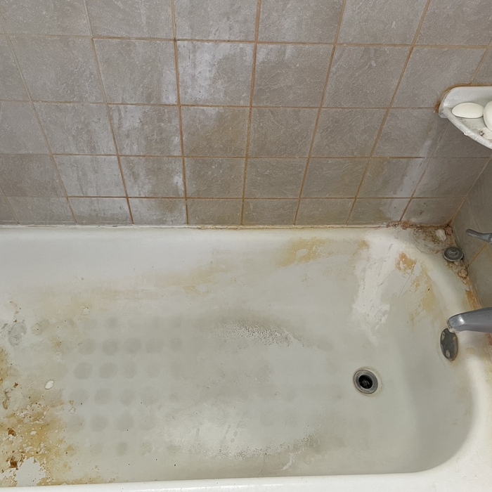 Bathroom Deep Clean