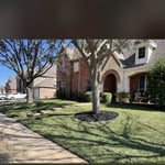 Sod Replacement