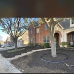 Sod Replacement