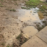 Backyard flood