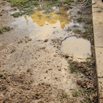 Backyard flood