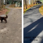 Sealcoat driveway