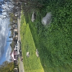 Yard Maintenance