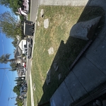 Yard Maintenance