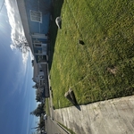 Yard Maintenance