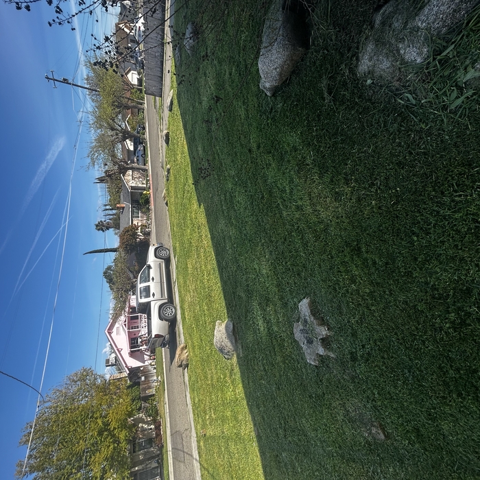 Yard Maintenance