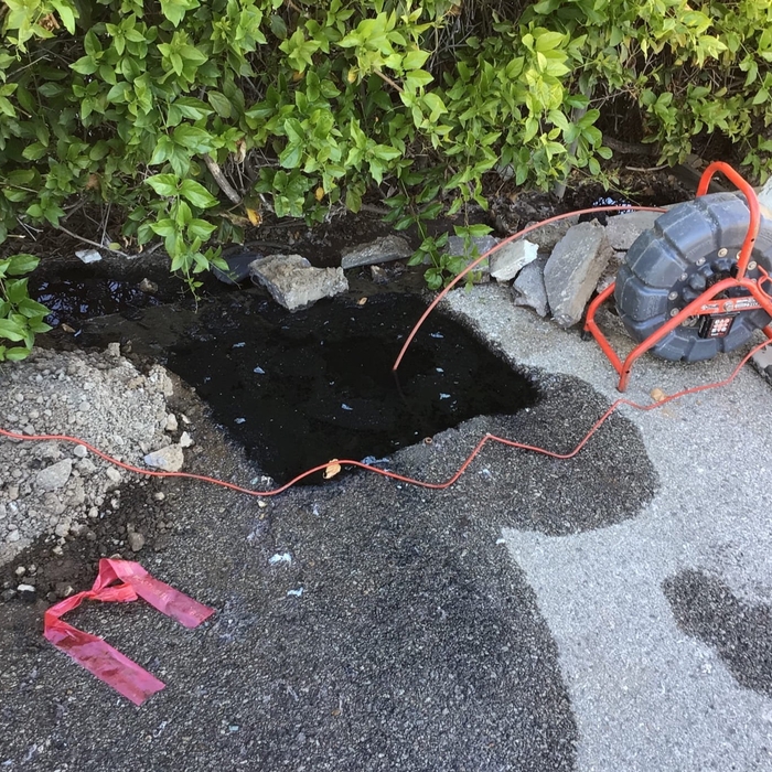 Drain snake for mainline blockage