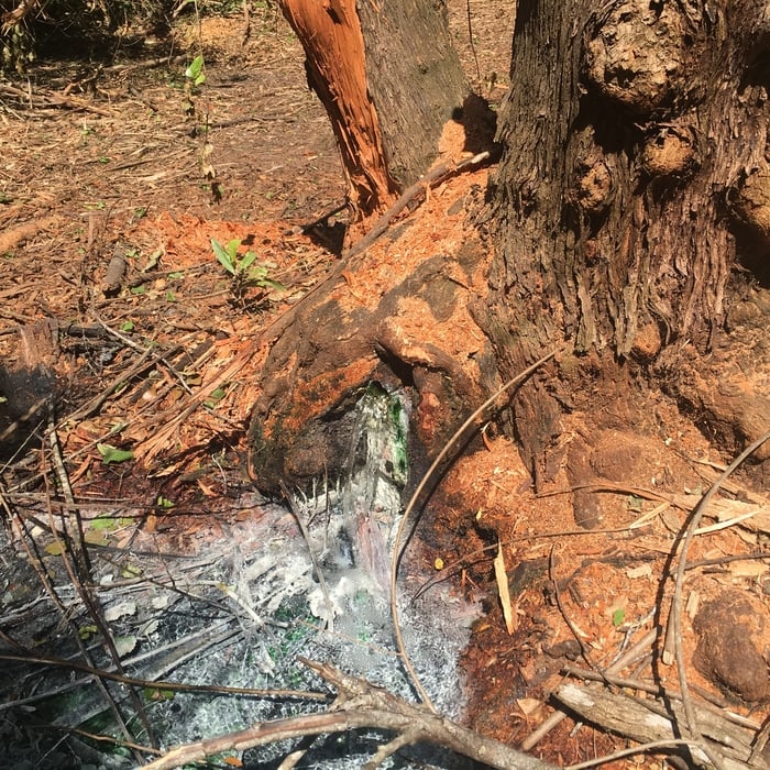 Additional Photos
