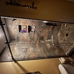 Shower remodel