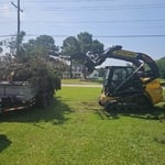 Tree Removal