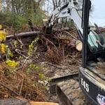 Process of clearing