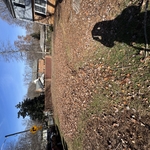 Fall clean up