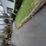 Fall clean up