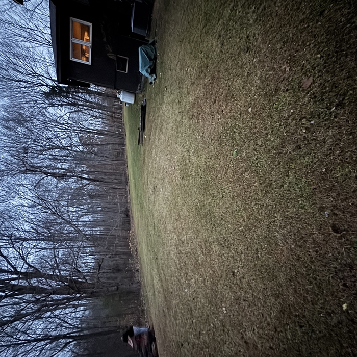 Leaf cleanup