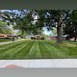 Weekly mowing