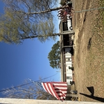 Tree Removal