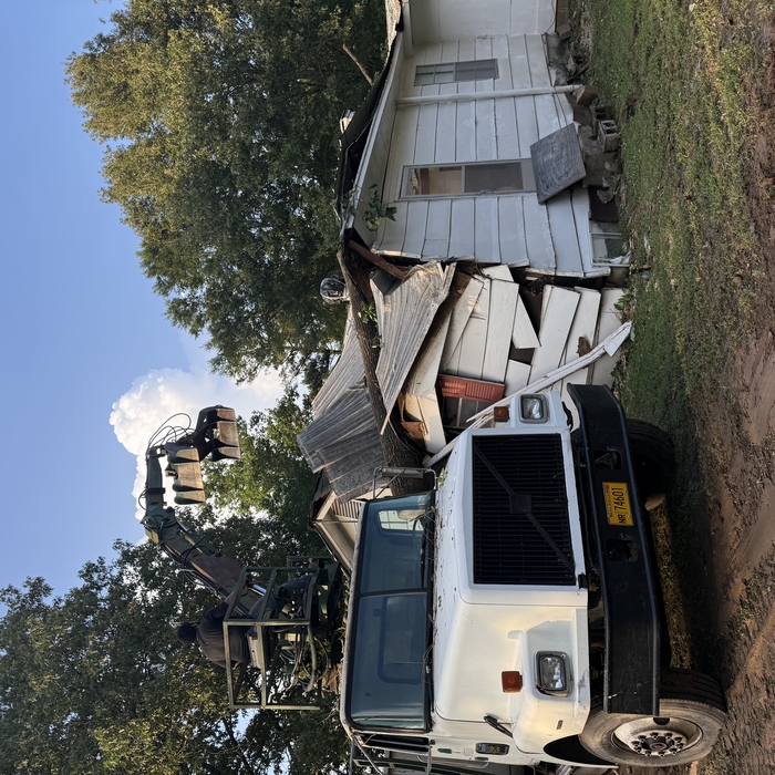 Tree Removal