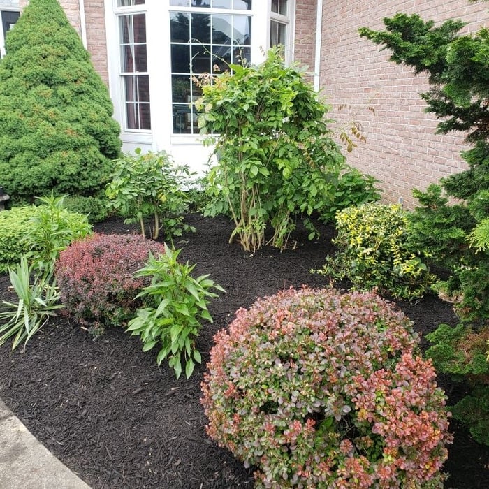 Landscaping/Yardwork