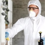Mold Removal