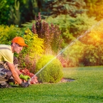 Lawn Maintenance