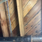 Mold remediation