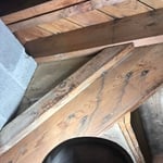 Mold remediation