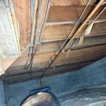 Mold remediation