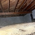 Mold remediation