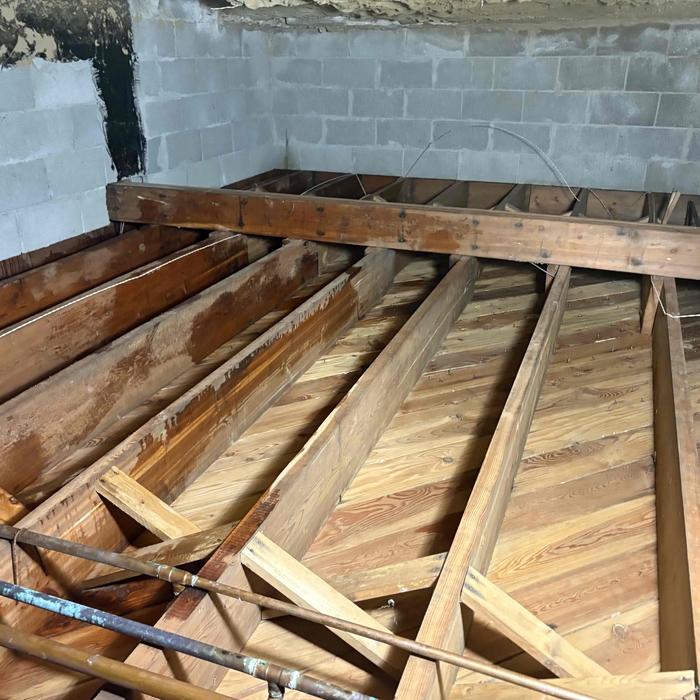 Mold remediation