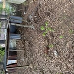 Shed demo