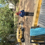 Tree Service Project