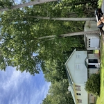 Tree Service Project