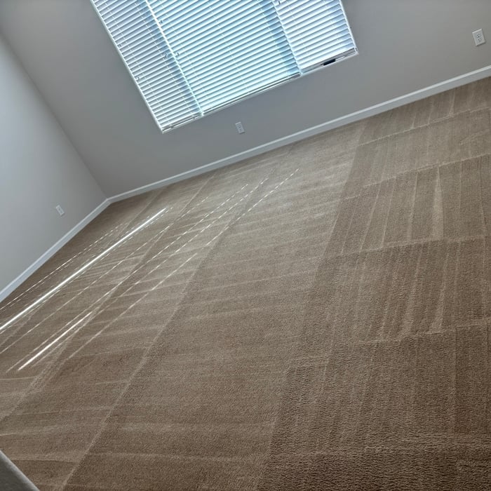 Carpet cleaning