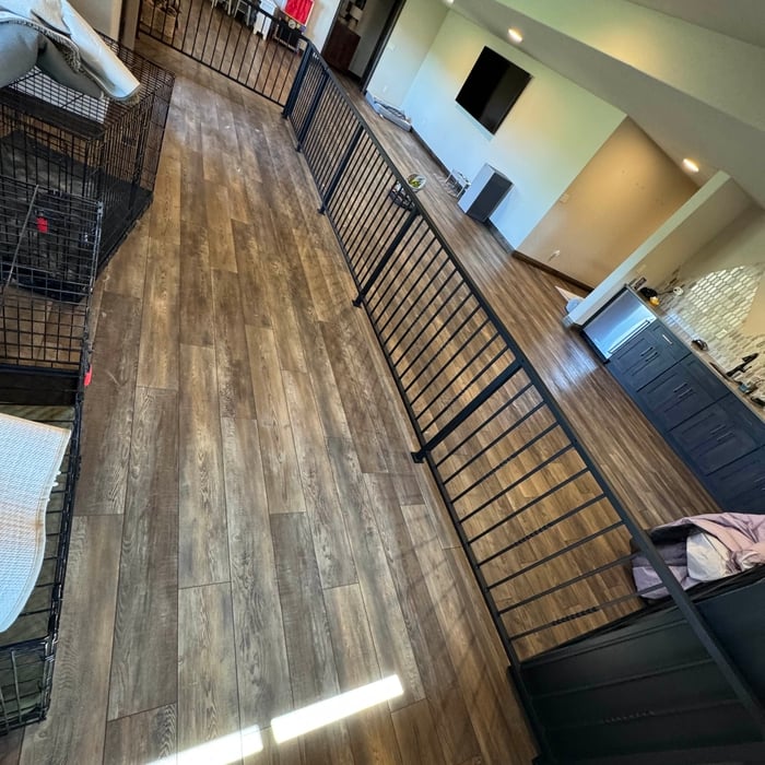 Basement Dog Run