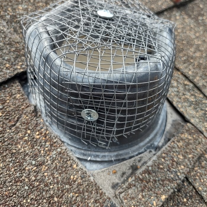 Rodent exclusion