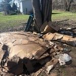 Backyard Cleanup