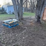 Backyard Cleanup